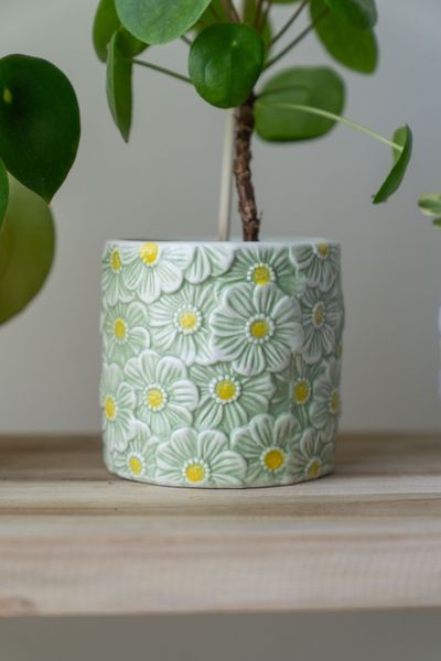 Hovedbilde Blomsterpotte blomster – 10 cm – ...