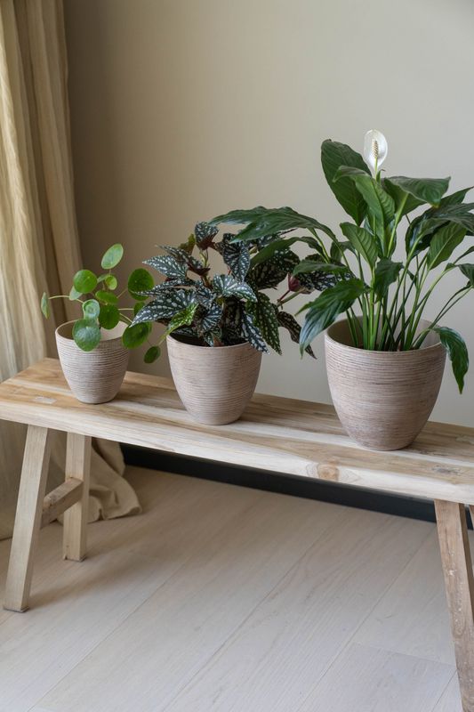 Blomsterpotte 3pk Beige Rustikk
