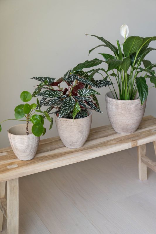Blomsterpotte 3pk Beige Rustikk