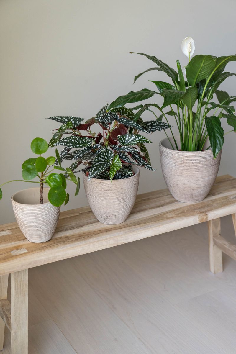 Blomsterpotte 3pk Beige Rustikk
