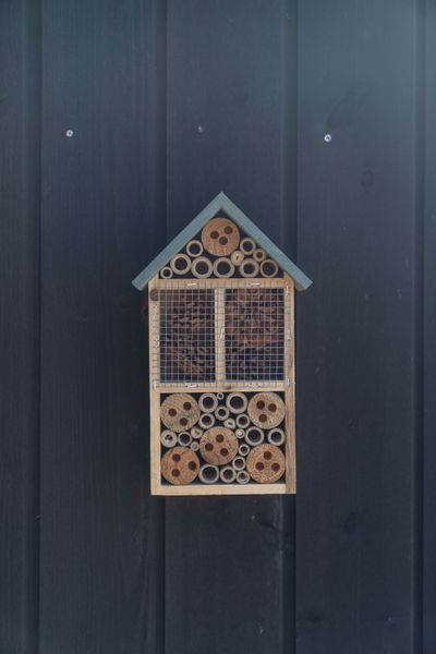Hovedbilde Insekthotell tre – 17×10×29 cm – ...