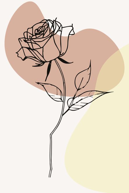 Hovedbilde Poster - Abstrakt Rose