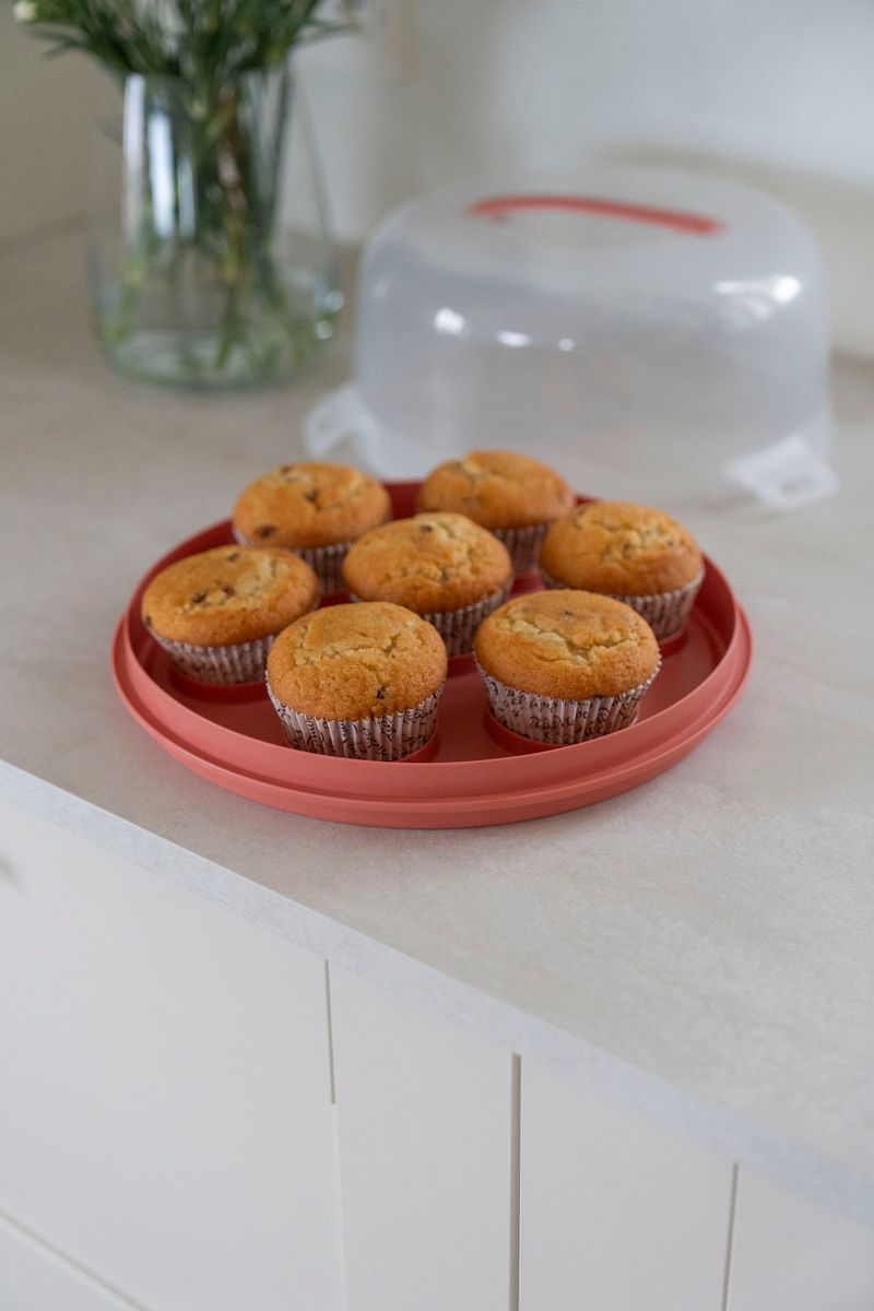 Kakeboks m/cupcake holder - Korall