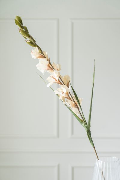 Hovedbilde Kunstig Blomst Gladiol 106cm - Beige