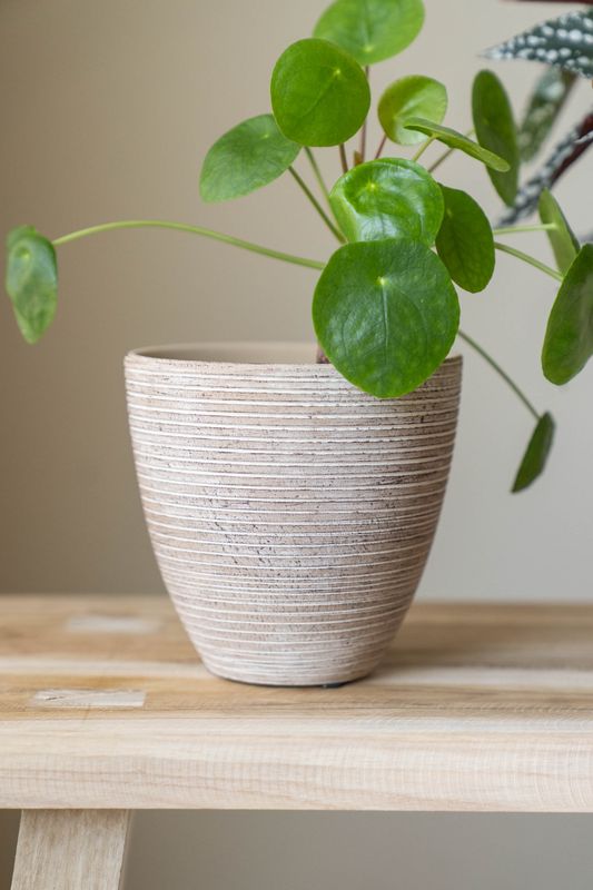 Blomsterpotte 3pk Beige Rustikk