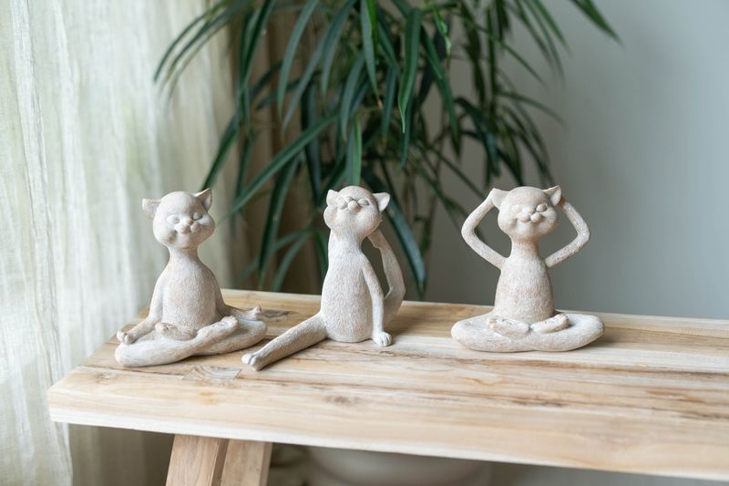 Yogakatt - Avslappet