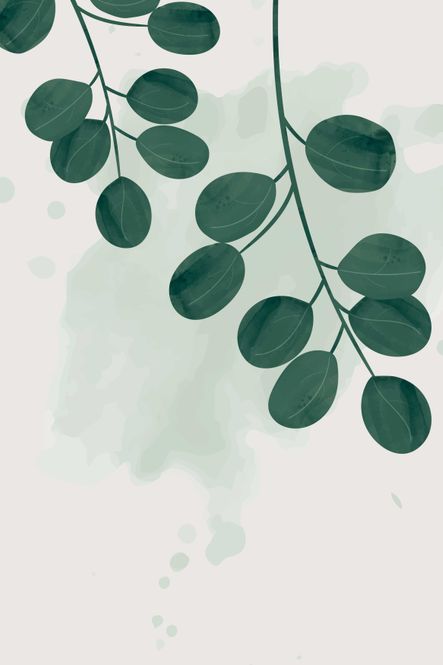 Hovedbilde Poster - Plante 2