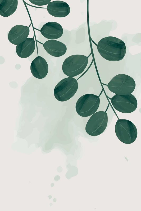 Poster - Plante 2
