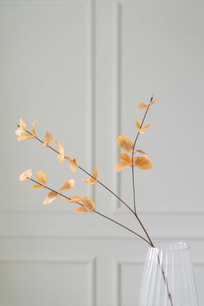 Hovedbilde Kunstig Blomst Eucalyptus 85cm - Oransje