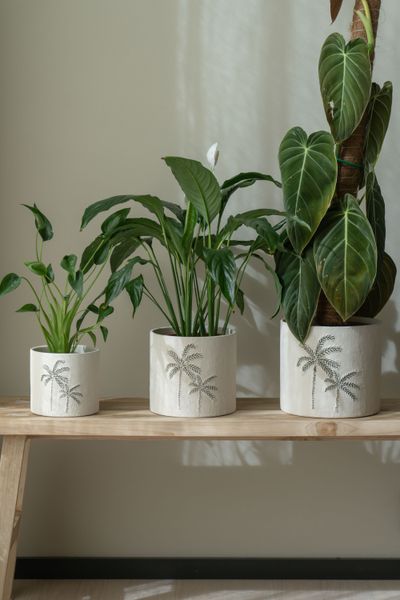 Hovedbilde Blomsterpotte 3pk Palme Hvit