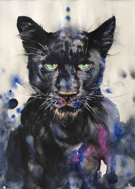 Hovedbilde Poster - Vannmaling Puma
