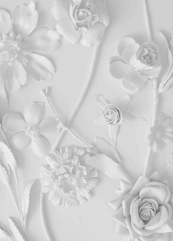 Poster - Fotokunst Hvite Blomster