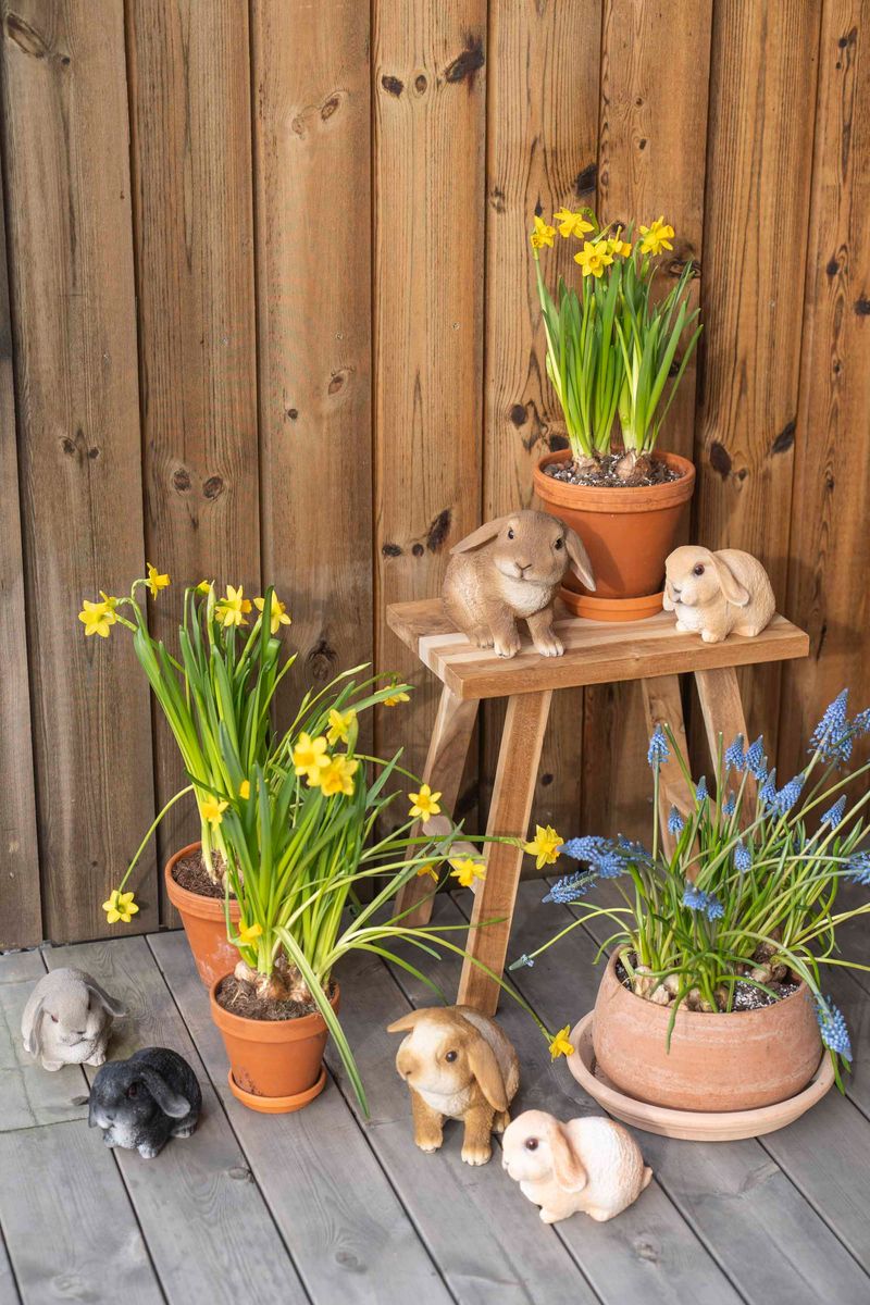 Kanin – 31,5×16,5×17,5 cm – Hode mot Venstre