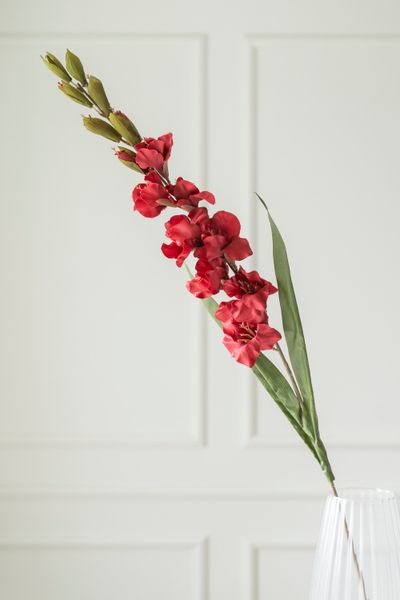 Hovedbilde Kunstig Blomst Gladiol 106cm - Rød