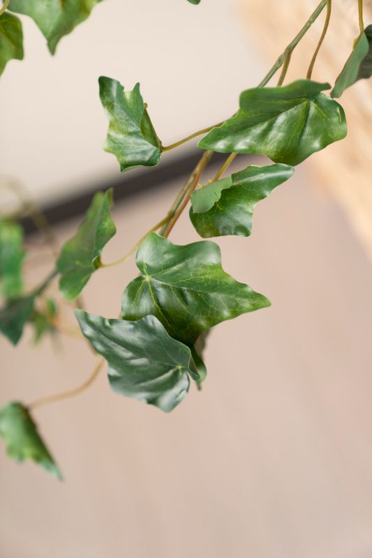 Hengeplante 80cm Grønn