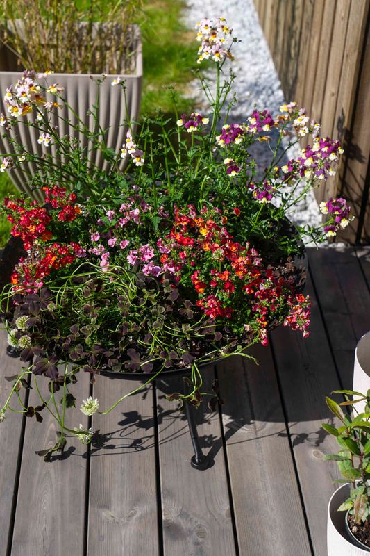 Bålpanne 50cm