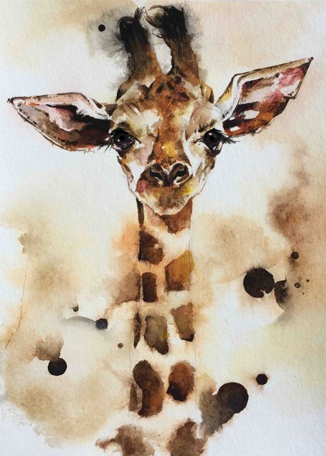 Hovedbilde Poster - Vannmaling Giraff