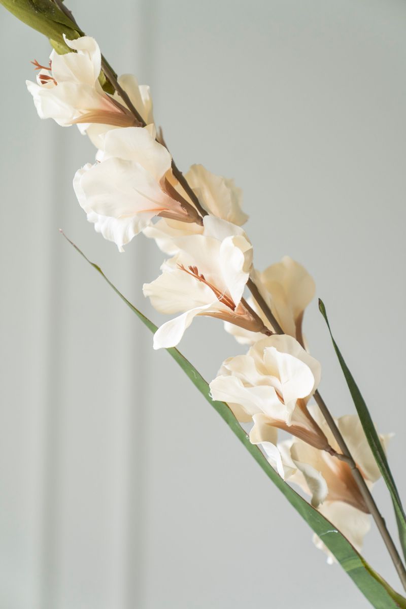 Kunstig Blomst Gladiol 106cm - Beige