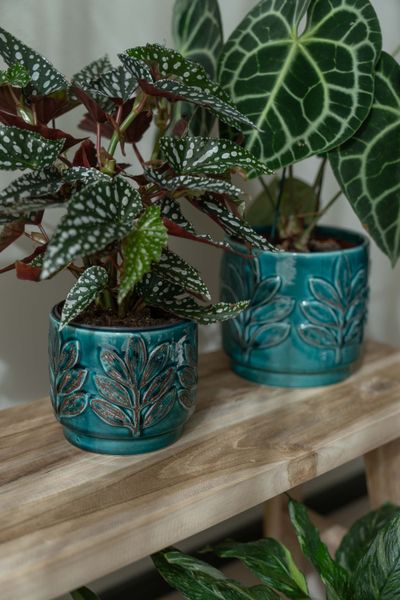 Hovedbilde Blomsterpotte Blad – 2pk Blå