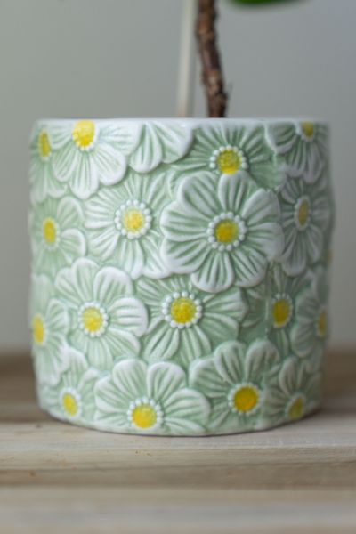 Hovedbilde Blomsterpotte blomster – 10 cm – ...