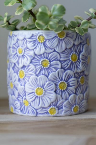 Hovedbilde Blomsterpotte blomster – 10 cm – ...