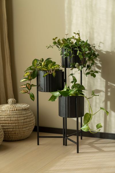 Hovedbilde Blomsterstativ m/3 nivå Svart